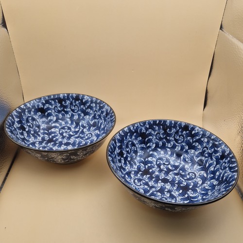 Pair blue and white ramen - blue,