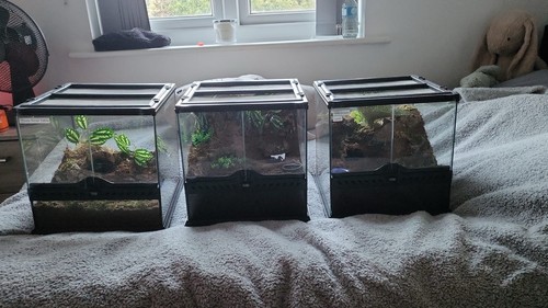Exo terra terrarium tank - exo,