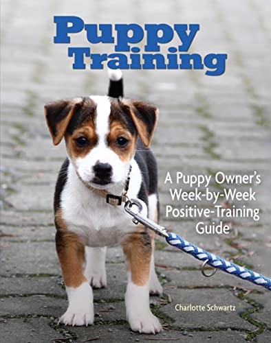 Puppy training owner - puppy, training:
