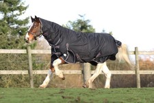 Heavyweight Winter Turnout