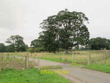 Photo 6x4 Cattle grid on the