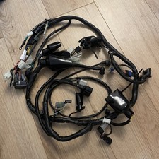 New Main Wiring Loom Harness