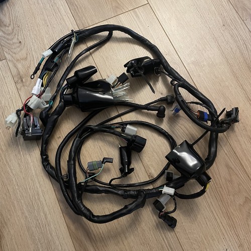 New main wiring - new, loom