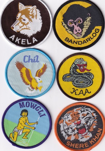 Boy scout cub - badges, x