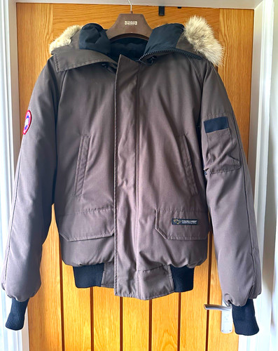 Canada goose chilliwack - canada,