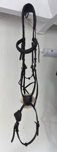 Henry james mexican grackle - james,