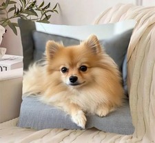 Super Soft adorable Pomeranian Dog Cushion Cover. No. 3  45cm x 45cm
