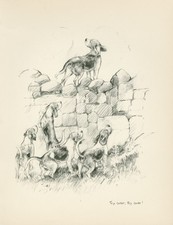 BEAGLE HOUNDS CROSSING A WALL LOVELY VINTAGE 1933 DOG ART PRINT by KF BARKER