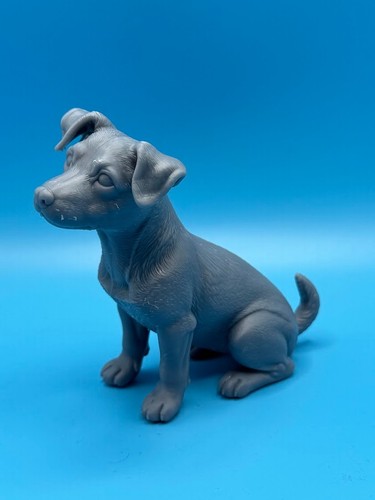 Gini art jack - jack, russell