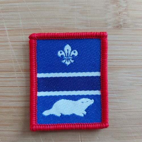 Current scouting scout - current, uk