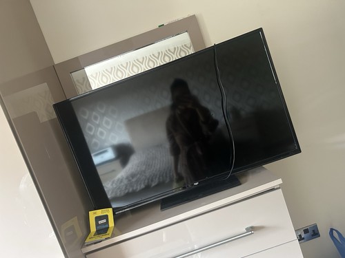 Bush - , tv