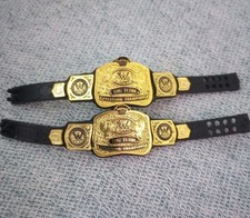 Mattel WWE Elite Current Tag