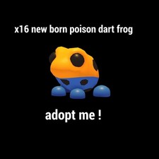 x16 new born poison dart frog