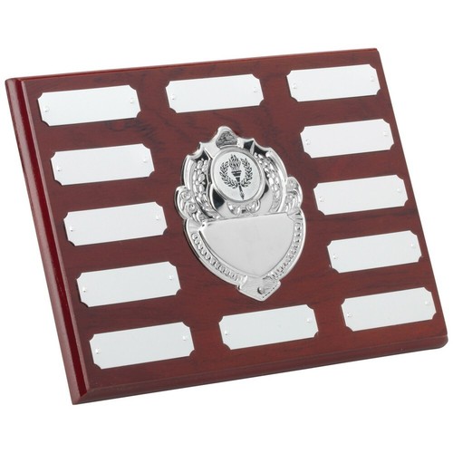 Multi activity annual plaque - multi,