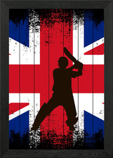 Cricket player Framed Wall Art