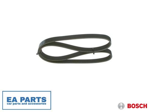 Ribbed belt bosch 987 - belt,