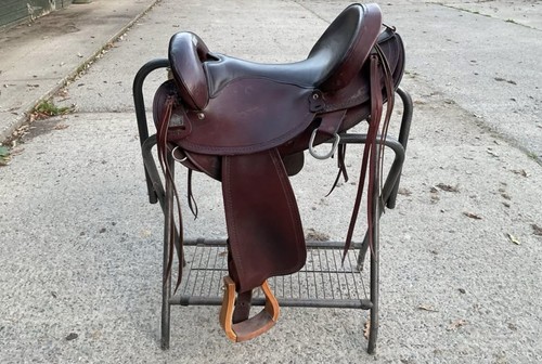 Bighorn endurance saddle - endurance,