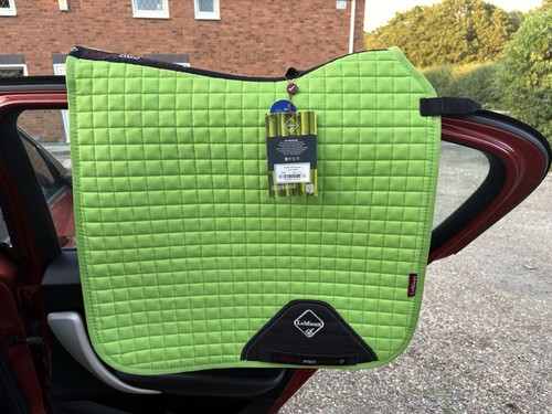 Lemieux suede dressage - sm,
