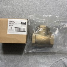 2-1/2-inch Swing Check Valve