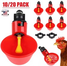 20× Poultry Water Drinking