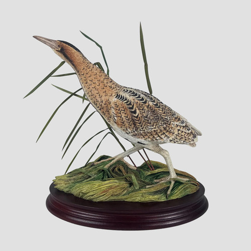 Bittern border fine arts bird - bittern,