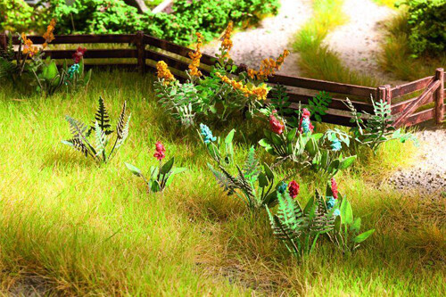 Noch 14056 field - noch, plants