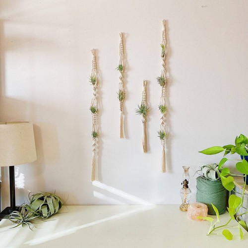 Macrame air plant - macrame,