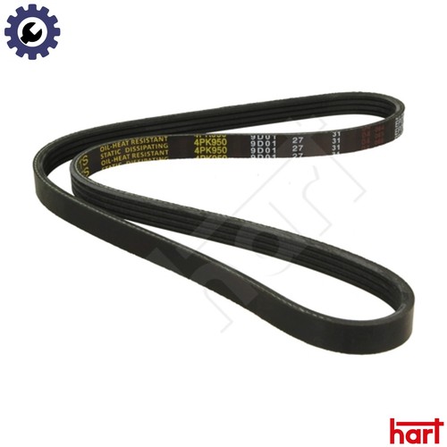 Vribbed belt 331 - vribbed,