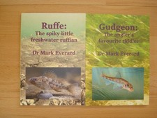 Mark everard books ruffe - 2, dr