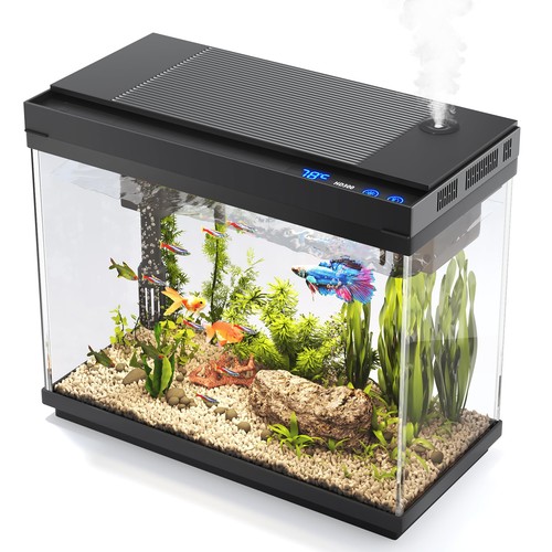 Fish tank gallon aquarium - fish,