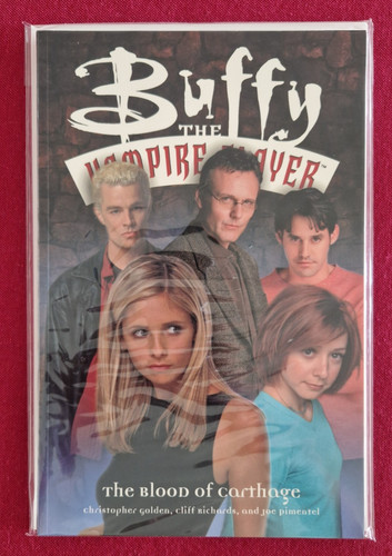 Buffy the vampire slayer - buffy,