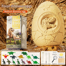 Children Archaeology Dig Dinosaur Eggs Toy Dinosaur Fossils Boys and Girls Diy H