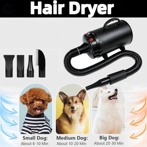 Dog cat pet - cat, hair