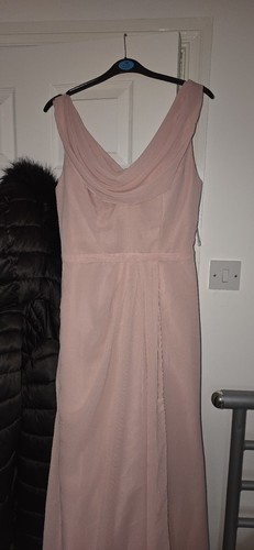 Brand new rose - brand, pink
