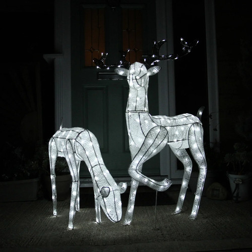 Light reindeer white stag - white,