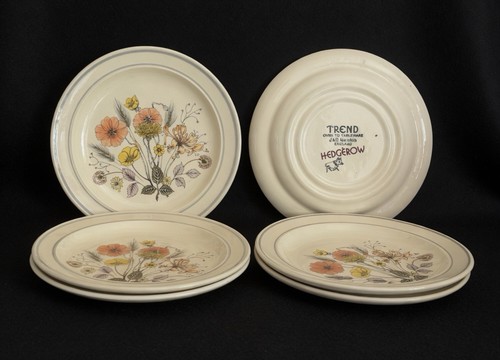 Meakin trend hedgerow - 6,