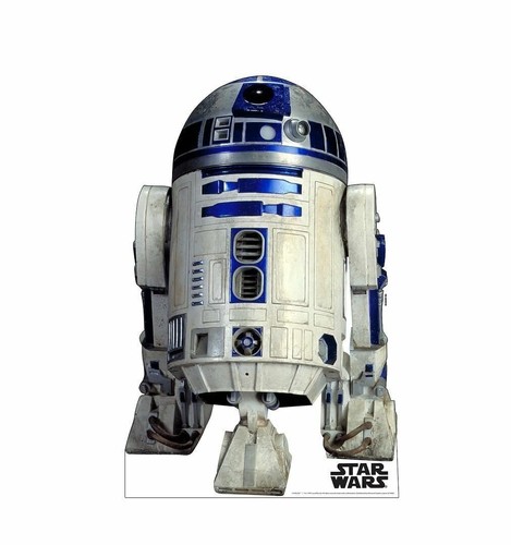 Life size cardboard - life,