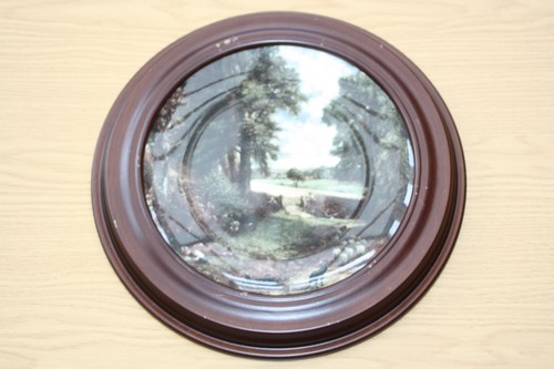 Vintage collectable plate - collectable,