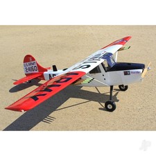 Seagull L-19A Bird Dog (Dead