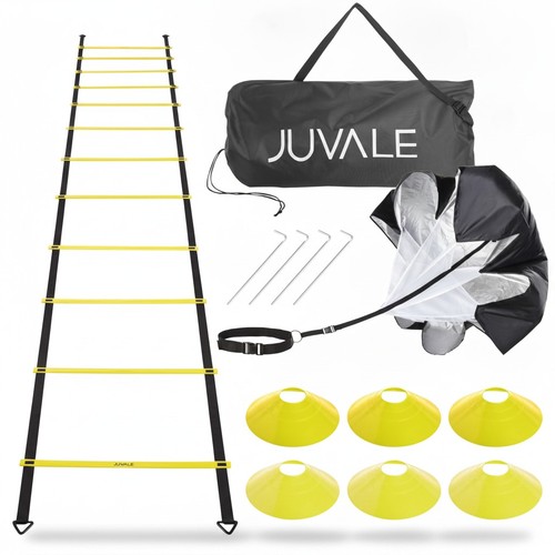 Agility training equipment - training,