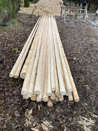 Tipi poles - tipi,