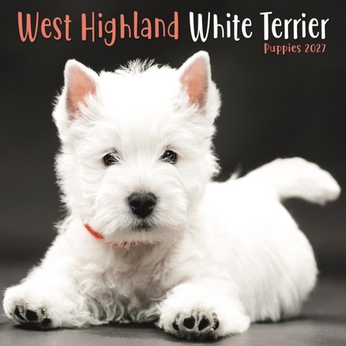 West highland white - west,