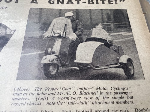 Vespa douglas blacknell gnat - blacknell,