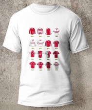 Stirling Albion FC Retro Art