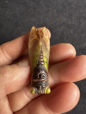 Vintage Pretty Plastic ? Celluiod? Cicada Metal Brooch