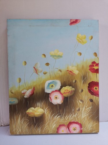 50x40cm poppy flowers - 50x40cm, summer