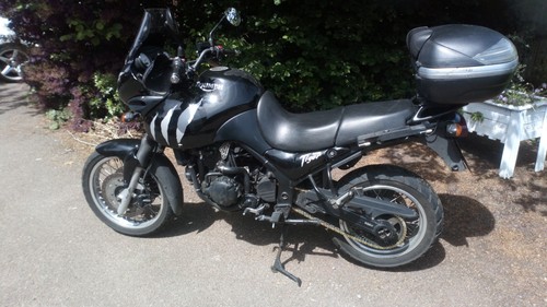 Triumph tiger 955 motorcycle - 955,