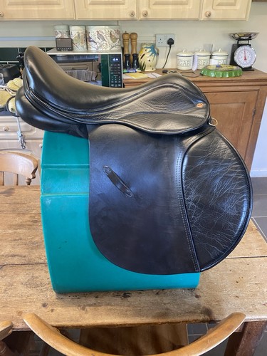 The saddle company sienna - company,