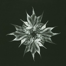 Troma & Pers1 - Kaede EP