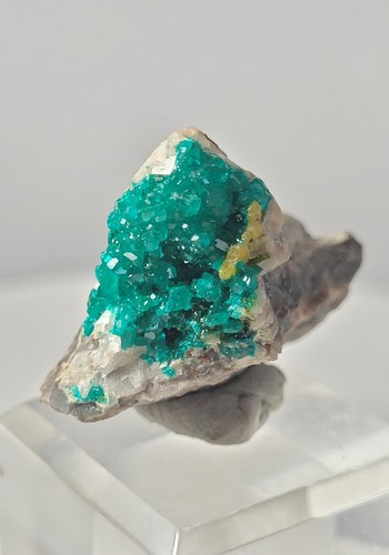Dioptase specimen tsumeb mine - tsumeb,